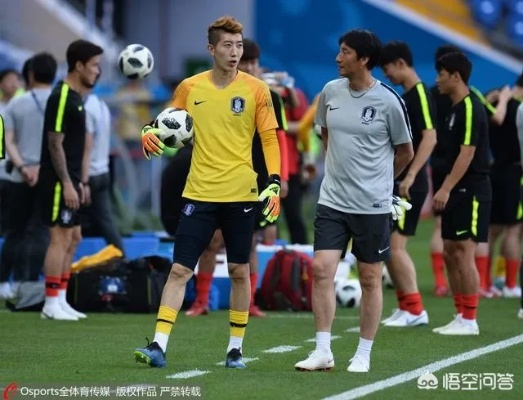 韩国VS比利时预测:一场充满悬念的较量,谁能笑到? 韩国VS比利时预测:一场充满悬念的较量,谁能笑到?