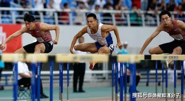 男子110米栏:速度与技巧的巅峰对决,谁将问鼎新一代栏王? 男子110米栏:速度与技巧的巅峰对决,谁将问鼎新一代栏王?