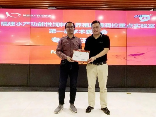 厦门杨潇威的相关长尾关键词有哪些 厦门杨潇威的相关长尾关键词有哪些