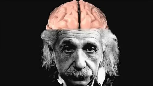 霍金斯博士揭秘:为什么你的大脑比想象中更强大? 霍金斯博士揭秘:为什么你的大脑比想象中更强大?