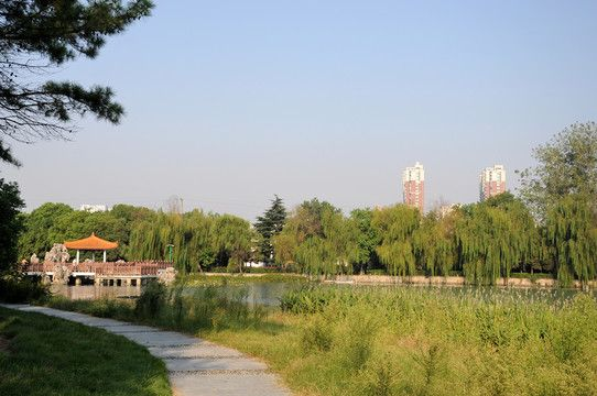 合肥市瑶海区哪里有公园 合肥市瑶海区哪里有公园