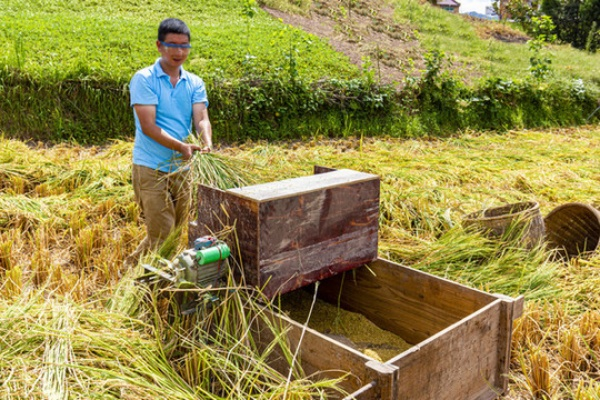 原始工具打谷子素材下载相关长尾关键词有哪些 原始工具打谷子素材下载相关长尾关键词有哪些