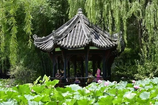 南通风荷亭相关长尾关键词有哪些 南通风荷亭相关长尾关键词有哪些