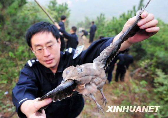 抓捕野兽的工具叫什么全部长尾关键词 抓捕野兽的工具叫什么全部长尾关键词