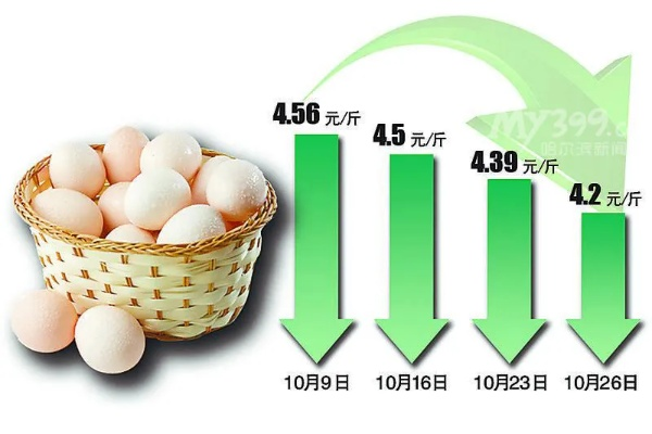【哈尔滨今日鸡蛋价格】2025年6月26日哈尔滨鸡蛋价格是多少 【哈尔滨今日鸡蛋价格】2025年6月26日哈尔滨鸡蛋价格是多少