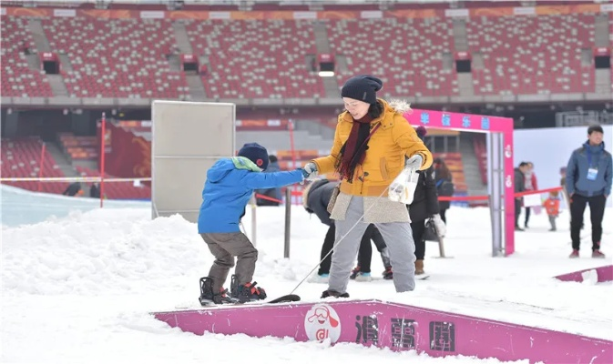 鸟巢滑雪:解锁冬日激情,体验冰雪运动的极致魅力 鸟巢滑雪:解锁冬日激情,体验冰雪运动的极致魅力