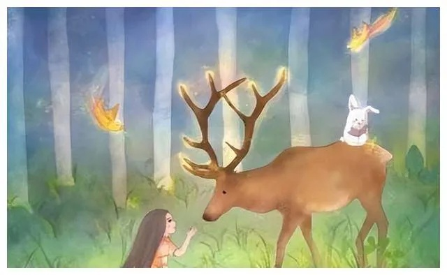 鹿角:我与自然最亲密的对话,一段关于生命与坚韧的成长故事 鹿角:我与自然最亲密的对话,一段关于生命与坚韧的成长故事