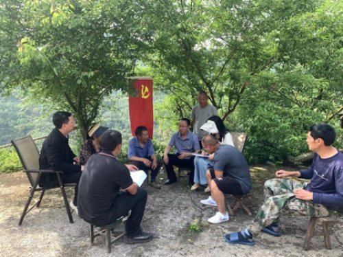 荥经县委书记蔡中:扎根基层的实干家,如何用青春书写乡村振兴新篇章? 荥经县委书记蔡中:扎根基层的实干家,如何用青春书写乡村振兴新篇章?