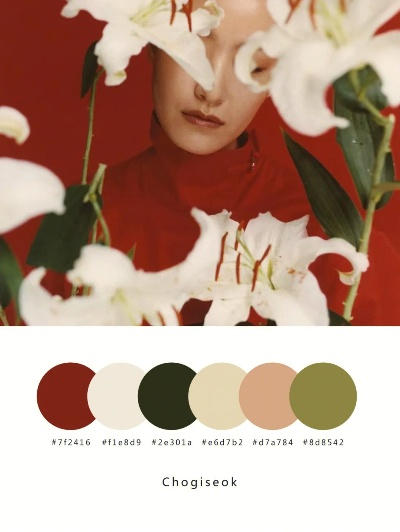 摄影网站配色搭配全部长尾关键词 摄影网站配色搭配全部长尾关键词