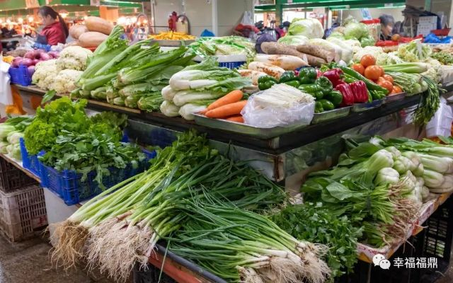 【福建今日菜价】2025年4月26日福建菜价是多少 【福建今日菜价】2025年4月26日福建菜价是多少