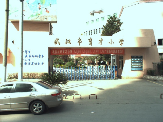 武汉开发区育才小学好不好? 武汉开发区育才小学好不好?