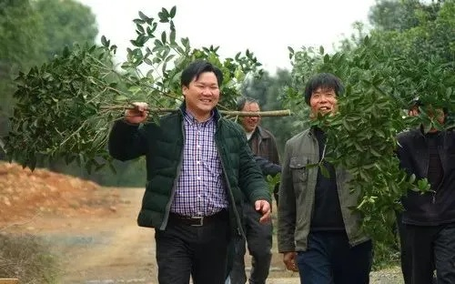 邵文忠:一个普通人的不平凡人生,我的故事与感悟 邵文忠:一个普通人的不平凡人生,我的故事与感悟