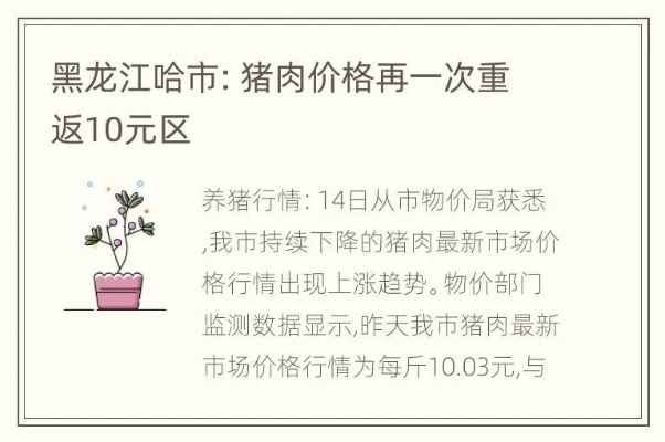 【哈尔滨今日猪肉价格】2025年6月18日哈尔滨猪肉价格是多少 【哈尔滨今日猪肉价格】2025年6月18日哈尔滨猪肉价格是多少