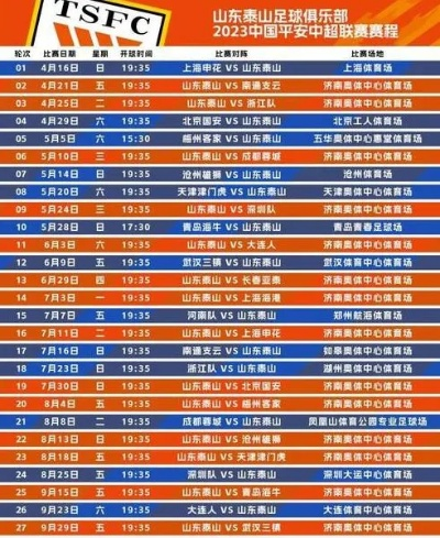 青岛中能2023赛季赛程分析 青岛中能2023赛季赛程分析
