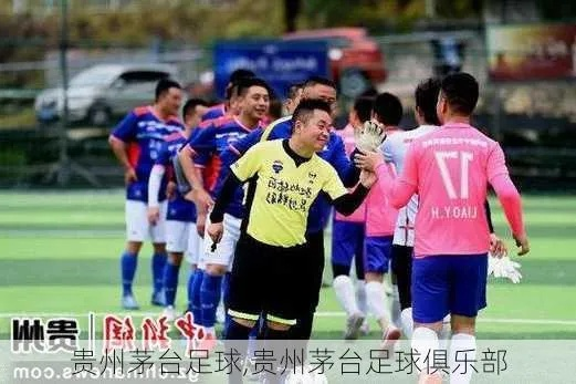 贵州茅台队:中国足球的新兴力量与品牌价值的完美结合 贵州茅台队:中国足球的新兴力量与品牌价值的完美结合