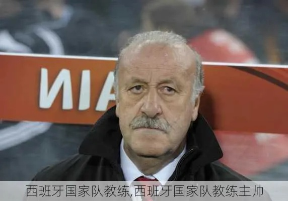 从球员到教练:我的西班牙国家队执教心路历程 从球员到教练:我的西班牙国家队执教心路历程