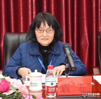 河南袁朵的相关长尾关键词有哪些 河南袁朵的相关长尾关键词有哪些