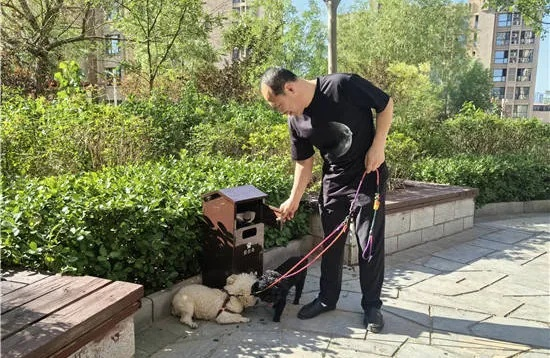 兰州开展“文明养犬大讨论”,首期话题:遛犬不牵绳这种行为不文明,你怎么看? 兰州开展“文明养犬大讨论”,首期话题:遛犬不牵绳这种行为不文明,你怎么看?