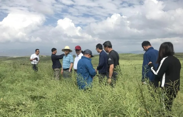 青海森科:我与这片绿色宝藏的不解之缘 青海森科:我与这片绿色宝藏的不解之缘
