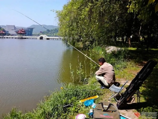 明月湖可以钓鱼吗? 明月湖可以钓鱼吗?