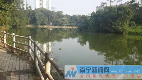 南宁市仙湖属于哪个区 南宁市仙湖属于哪个区