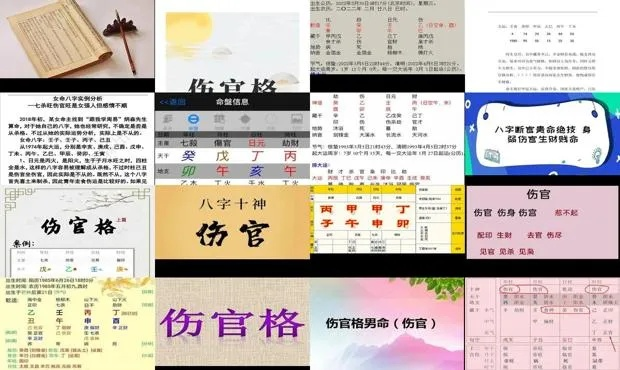 伤官格怎么样取用神(伤官格怎么办)