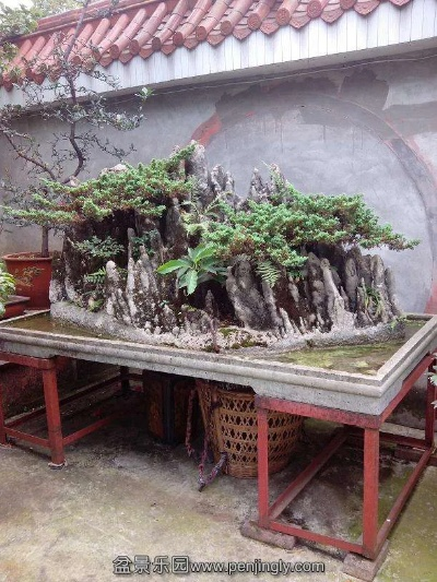 成都市盆景石头哪里去捡 成都市盆景石头哪里去捡