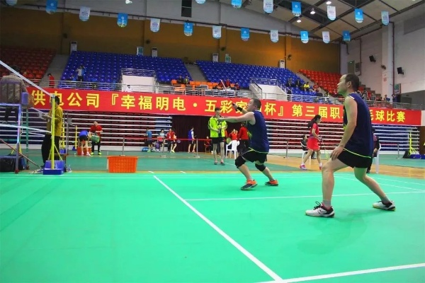 羽毛球实况转播:激情与技巧的完美碰撞 羽毛球实况转播:激情与技巧的完美碰撞