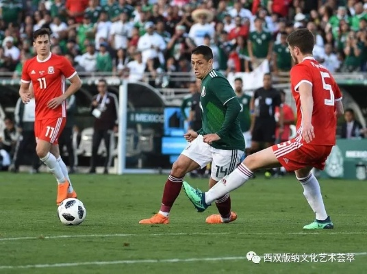 激情四溢!中德世界杯直播,我见证了这场足球盛宴! 激情四溢!中德世界杯直播,我见证了这场足球盛宴!