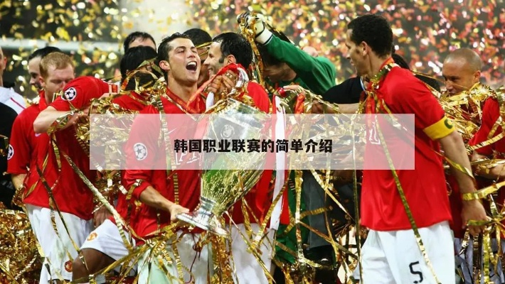 韩国职业联赛决赛:激情与荣耀的巅峰对决 韩国职业联赛决赛:激情与荣耀的巅峰对决