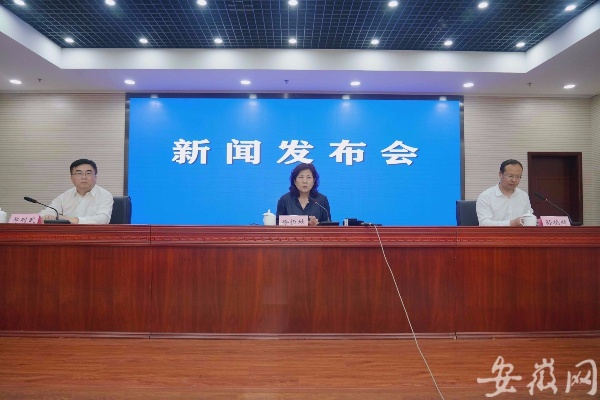 合肥市丁新欣相关长尾关键词有哪些 合肥市丁新欣相关长尾关键词有哪些