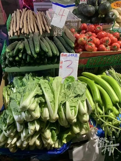 【杭州今日菜价】2025年6月20日杭州菜价是多少 【杭州今日菜价】2025年6月20日杭州菜价是多少