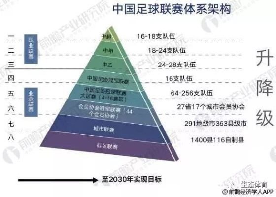 颜强视点:深度解析中国足球的现状与未来 颜强视点:深度解析中国足球的现状与未来