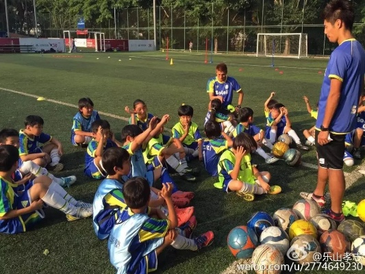 深圳市乐山足球怎么样 深圳市乐山足球怎么样