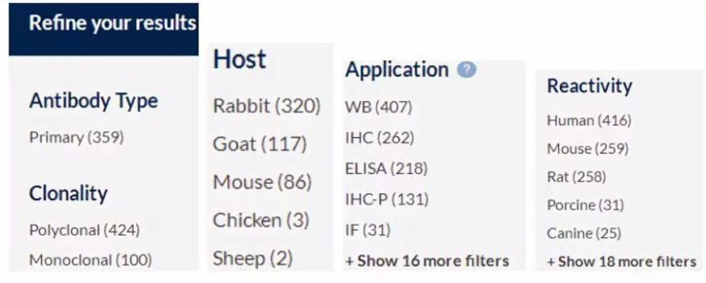 抗体检测的工具长尾关键词集合 抗体检测的工具长尾关键词集合
