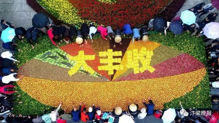 郑州大丰收:一场农业与城市的双赢盛宴 郑州大丰收:一场农业与城市的双赢盛宴