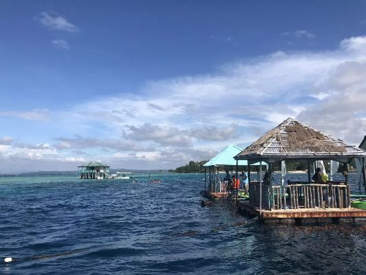 我在达沃的奇幻之旅:一座城市的温度与梦想 我在达沃的奇幻之旅:一座城市的温度与梦想