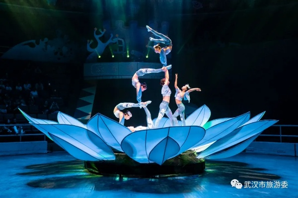 武汉北湖杂技厅拆了以后做什么? 武汉北湖杂技厅拆了以后做什么?