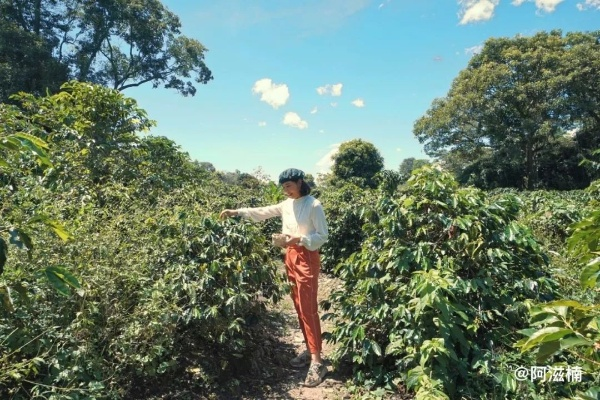 罗德里格斯 哥伦比亚:探索南美隐藏的咖啡与冒险天堂 罗德里格斯 哥伦比亚:探索南美隐藏的咖啡与冒险天堂
