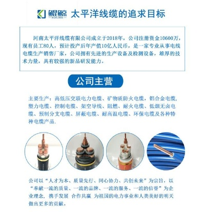 太平洋电缆怎么样? 太平洋电缆怎么样?