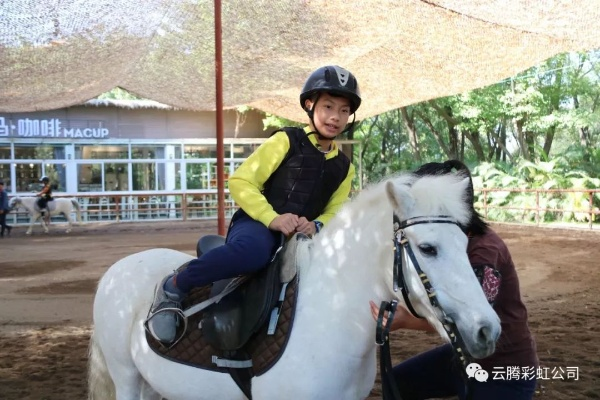 我与朱马的奇妙相遇:一段改变人生的心灵之旅 我与朱马的奇妙相遇:一段改变人生的心灵之旅