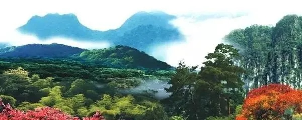 龙岩美女惊艳亮相:揭秘这座山水之城的独特魅力 龙岩美女惊艳亮相:揭秘这座山水之城的独特魅力