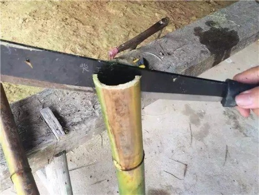 牛人自制竹子屋顶工具全部长尾关键词 牛人自制竹子屋顶工具全部长尾关键词