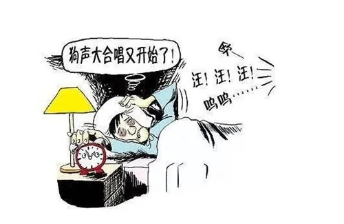 小区里幼儿园噪音扰民怎么投诉? 小区里幼儿园噪音扰民怎么投诉?