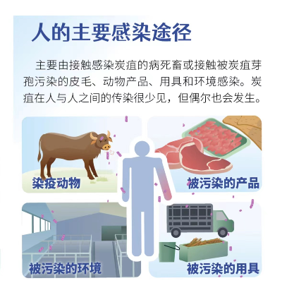辽宁炭疽疫情引发关注:如何科学防范与应对? 辽宁炭疽疫情引发关注:如何科学防范与应对?