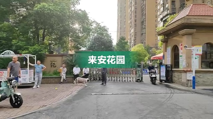 合肥市来安花园属哪个区 合肥市来安花园属哪个区