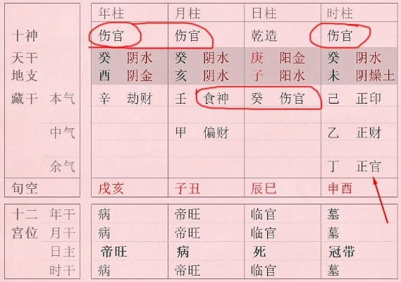 伤官格怎么样取用神(伤官格怎么办)