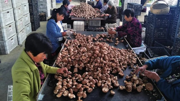 河南做什么生意赚钱 河南做什么生意赚钱