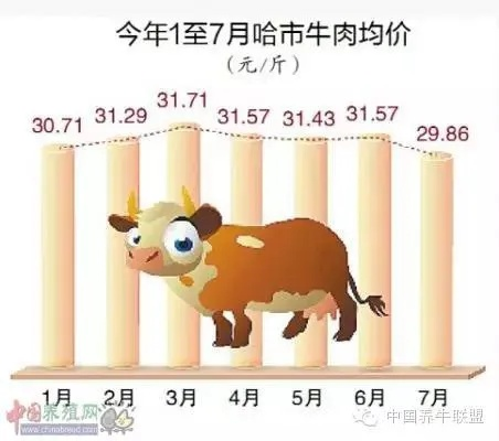 【哈尔滨今日羊肉价格】2025年5月16日哈尔滨牛肉价格是多少 【哈尔滨今日羊肉价格】2025年5月16日哈尔滨牛肉价格是多少