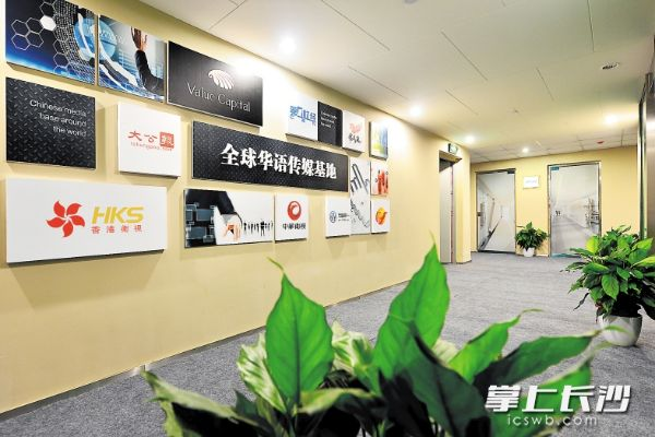 长沙市传媒公司在哪个区 长沙市传媒公司在哪个区